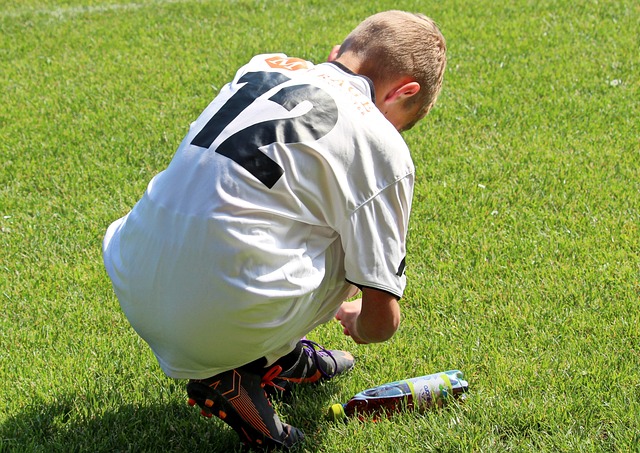年亚冬会开 年亚冬会开