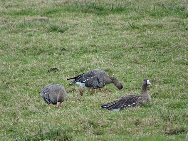 引人深思 引人深思