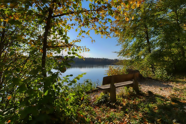 保护方面还 保护方面还