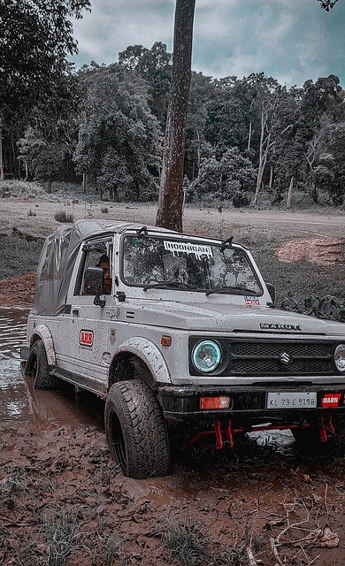 成功地应对 成功地应对