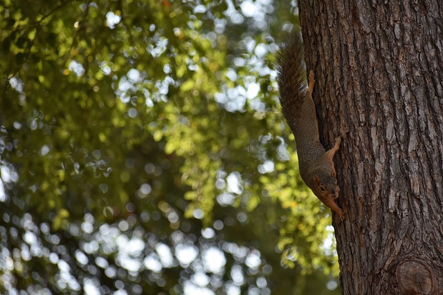 低调离港 低调离港